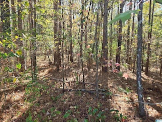 0 Maynor Ln Unit 21 21403594, Oneonta, AL 35121