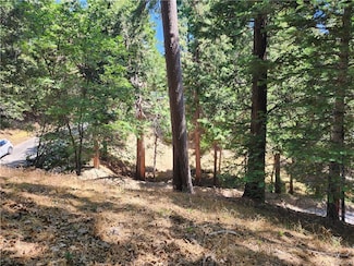 0 S Edelweiss Dr Unit 32501639, Crestline, CA 92325