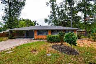 3200 Greg Ln, Tyler, TX 75701