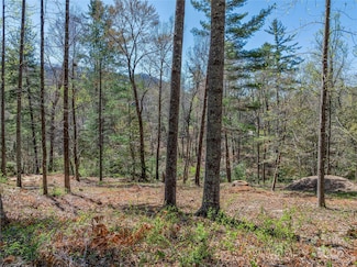 99999 Running Creek Trail, Arden, NC 28704
