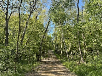N8657 690th St, Martell Township, WI 54022