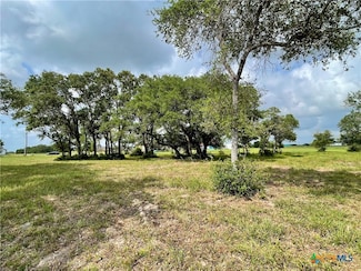 67 Dewberry Ln, Seadrift, TX 77983