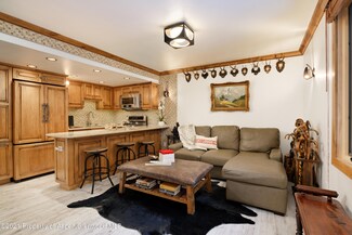 800 S Mill St Unit 13, Aspen, CO 81611