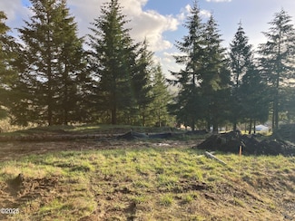 1200 Blk NE Center St Unit Parcel  4, Sheridan, OR 97378