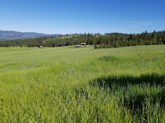 49 Old Ranch House Rd, Republic, WA 99166