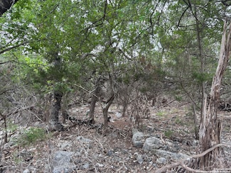 1424 Stahlman Way, Canyon Lake, TX 78132