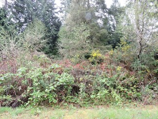 17108 33rd Street Court Kp N, Lakebay, WA 98349