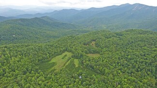 1575 Lloyd Cove Rd, Scaly Mountain, NC 28775