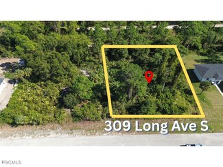 309 Long Ave, Lehigh Acres, FL 33974
