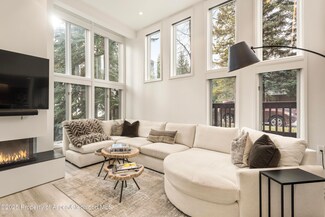 900 E Durant Ave Unit 103, Aspen, CO 81611