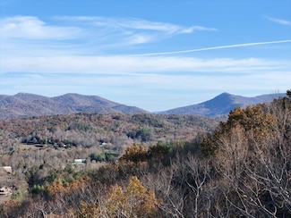 Lt 20&21 Red Twig Rd, Blairsville, GA 30512