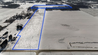 V/L E Lemon Creek Rd, Oronoko Township, MI 49103