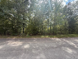 Lot 39 Fox Run Dr, Magnet Township, AR 72104
