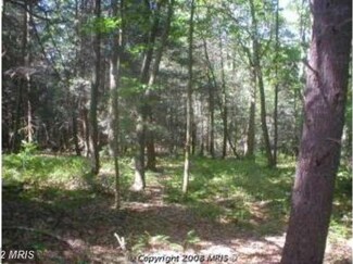 0 Waterfall Rd Unit 1004077826, Hustontown, PA 17229