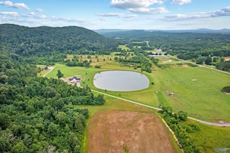 10.0 Crimson Lake Dr, Glencoe, AL 35905