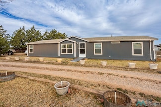 1316 Coyote Rd, Clovis, NM 88101