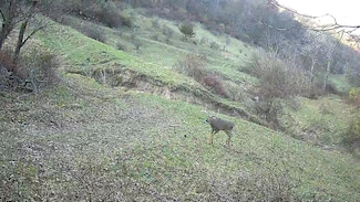 16884 County Hwy S, Hickory Grove, WI 53805