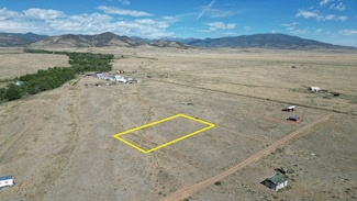 0 Lot 29 Alamosa River Ln, La Jara, CO 81140