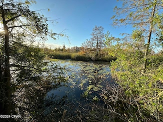 9203 Lake Forest Dr, Youngstown, FL 32466