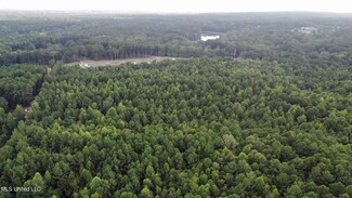 0 Old Lake Rd, Brandon, MS 39042