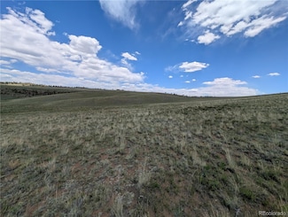 3812 Anadarko Rd Unit 2786, Hartsel, CO 80449