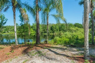 14824 N 19th St, Lutz, FL 33549