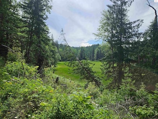 354 Swamp Donkey Trail, Sandpoint, ID 83864