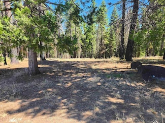 135 Goose Bay View Trail, Chester, CA 96020
