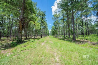 0 W Hurricane Rd Unit Lot 2 381367, Bay Minette, AL 36507