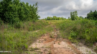 0000 Dixie School Hwy, Toomsuba, MS 39364