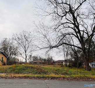 0.25 ACRES E 8th St, Tuscumbia, AL 35674