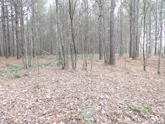 Lot 20 Summer City Rd, Evensville, TN 37332