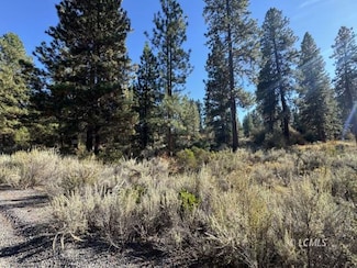0 Legget Dr Unit 3007365, Chiloquin, OR 97624
