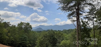 000 Levi Rd, Columbus, NC 28722