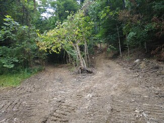 94 ac Nace Run Rd, Stout, OH 45684