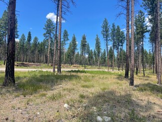 NHN Janes Way, Hamilton, MT 59840