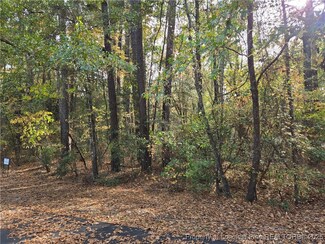 Lot 47 A Cypress Creek Corner, Woodlake, NC 28394