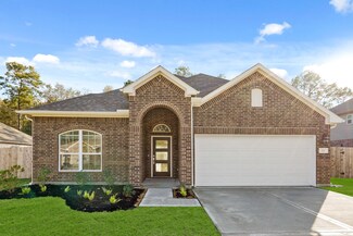 262 Gallant Fox Way, New Caney, TX 77357