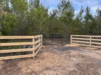 9940 Black Bear Ln, Winter Garden, FL 34787