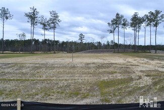 4354 Fantail, Leland, NC 28451