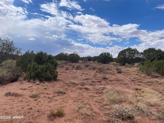 4372 Apache Rd, Snowflake, AZ 85937