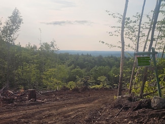 6.61 Hodgdon Hill Rd, Buckfield, ME 04220