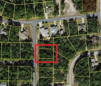 9055 N Amboy Dr, Citrus Springs, FL 34433