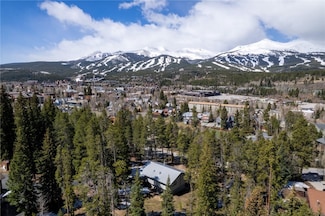 212 Briar Rose Ln, Breckenridge, CO 80424