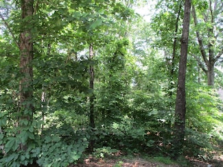 74A Licklog Ridge, Hayesville, NC 28904
