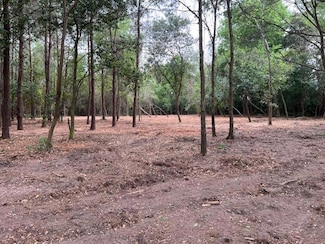 00 Kinsey Rd, Dothan, AL 36303
