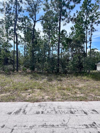 2910 W Rutland Dr, Citrus Springs, FL 00000