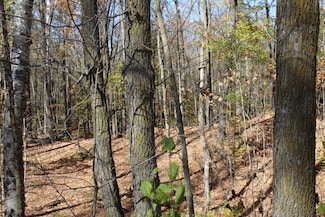 TBD Woods Rd, Hay Brook Township, MN 56342