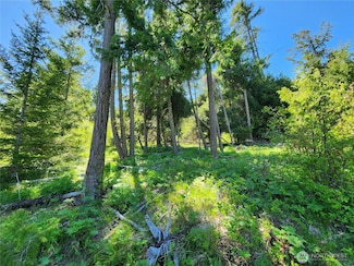 1 Black Hawk Dr, Cle Elum, WA 98922