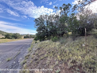 100 Little Smokey Rd, Capitan, NM 88316